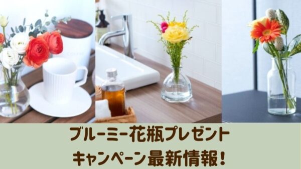 ブルーミーの花瓶プレゼントはどんなの 初回無料キャンペーン詳細 お花の定期便おすすめ比較サイト